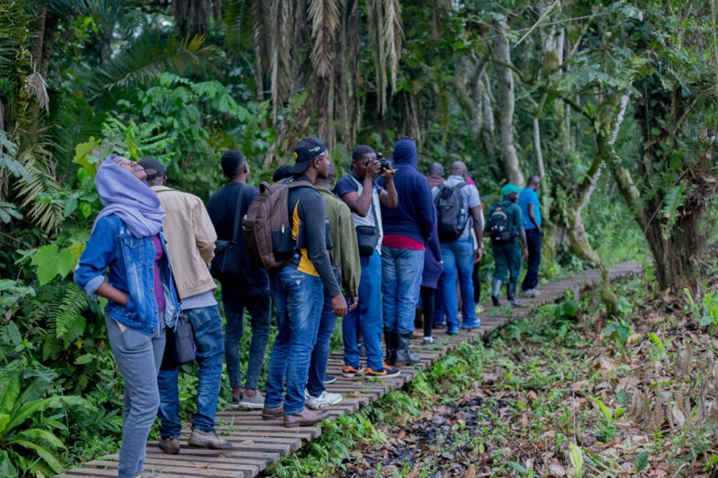 Discover Uganda’s top attractions, from gorilla trekking in Bwindi to safari in Queen Elizabeth National Park. Plan your Pearl of Africa adventure today.