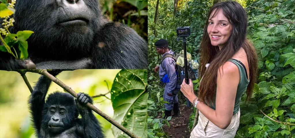 GorillaTrekkingBooking.com Unveils a Seamless Way to Plan Unforgettable Gorilla Safaris Across East Africa