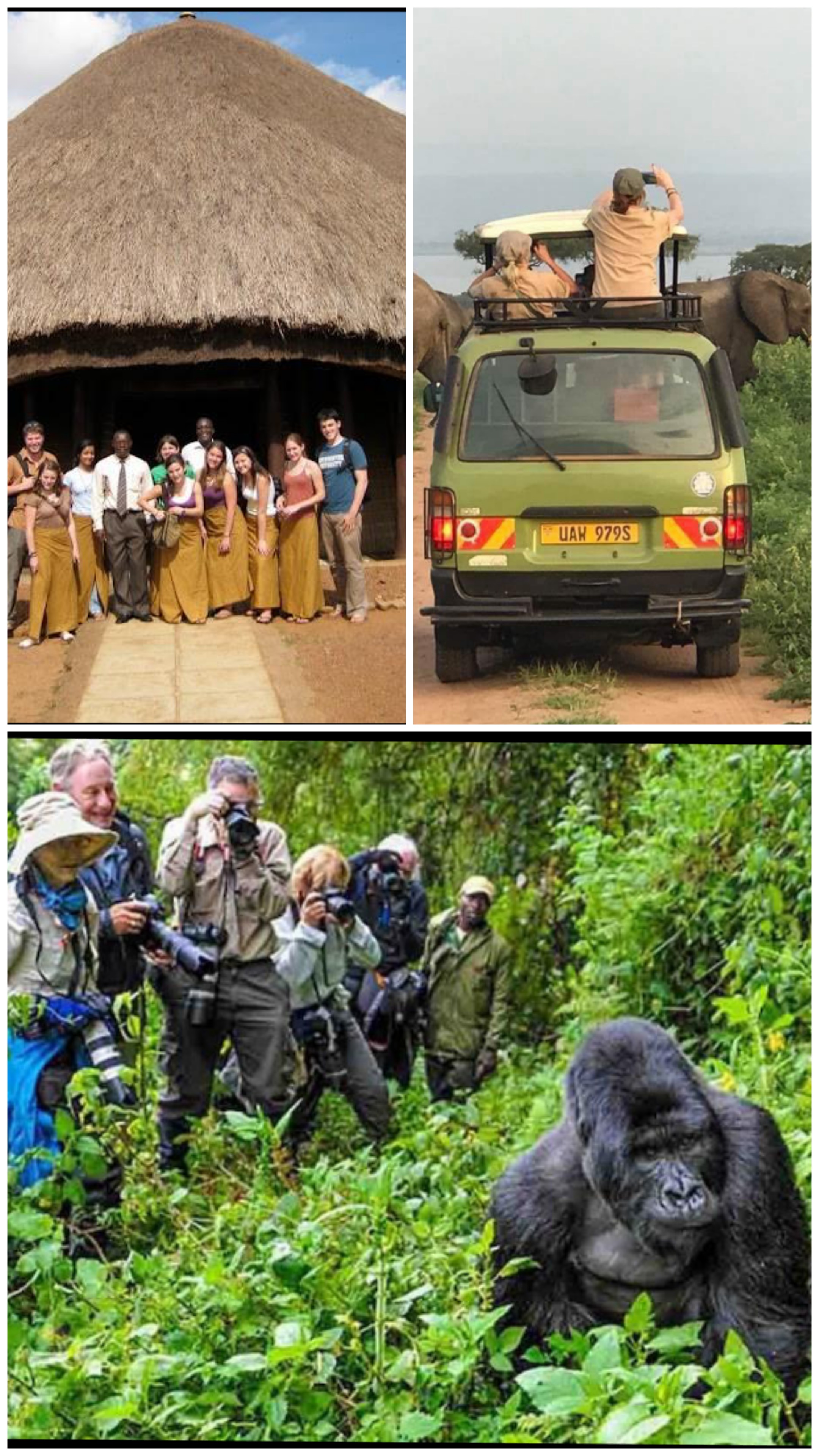 Don’t Hesitate—Choose Your Next Adventure With Us Your Journey. Your Adventure. Your Unforgettable African Experience.